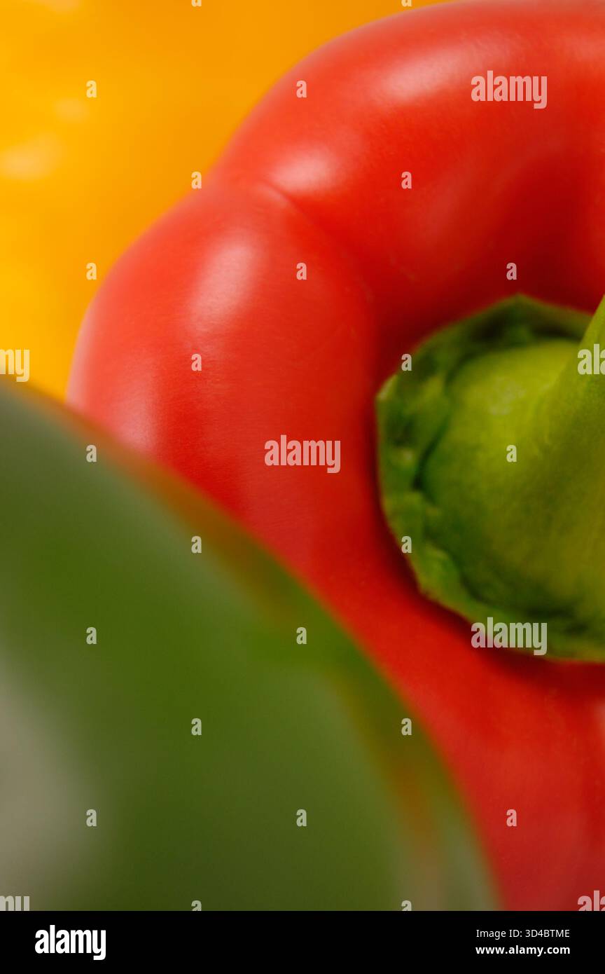 Frische grüne, rote, gelbe Bio-Paprika, große, detaillierte vertikale Makroaufnahme, leeres, farbenfrohes Kopierfeld, sanfte Bokeh-Studioaufnahme Stockfoto