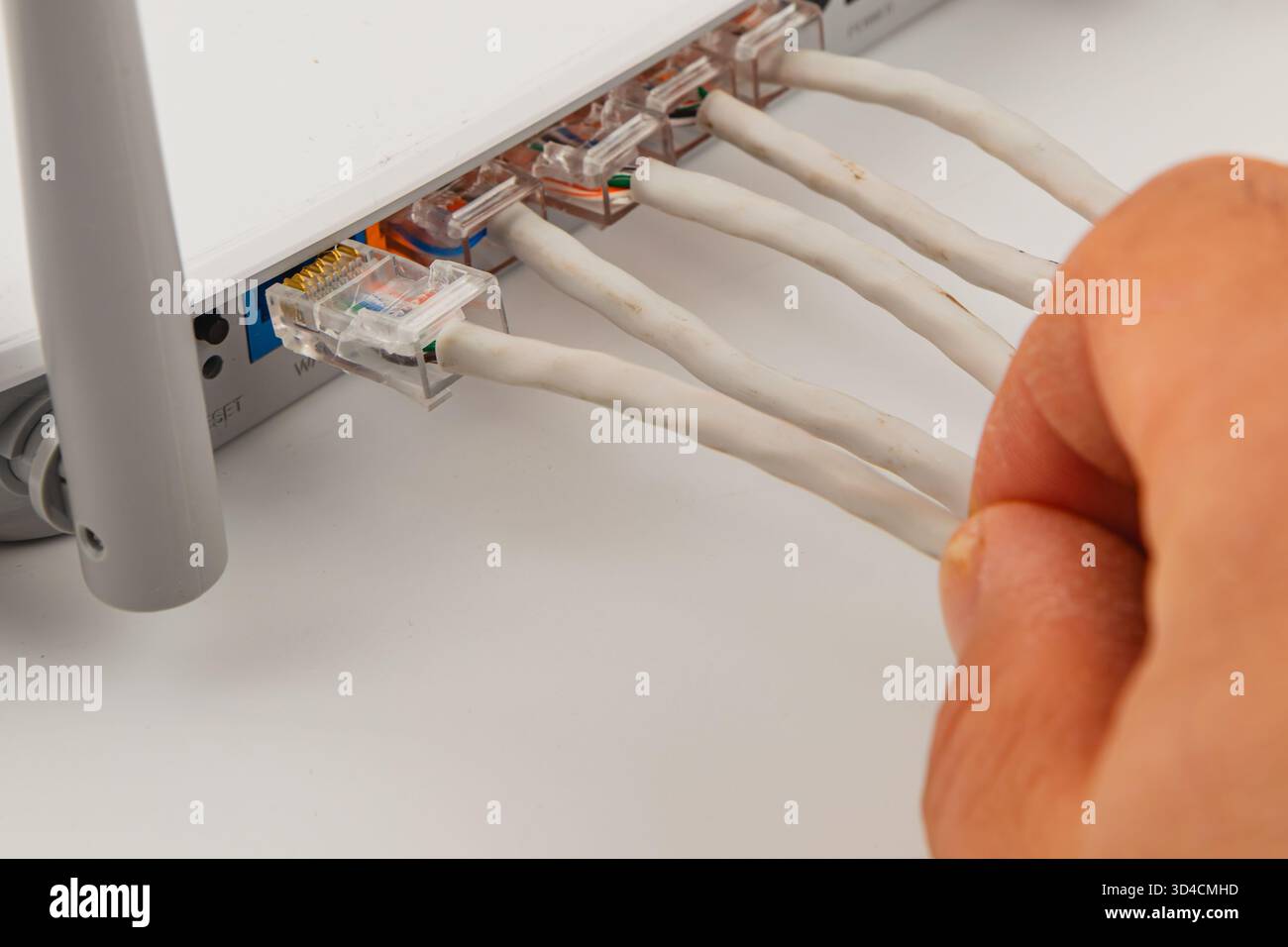 Eine Hand steckt Netzwerkkabel zu Hause in einen Router. Diese Einrichtung ist für den Aufbau einer stabilen Internetverbindung für verschiedene Geräte unerlässlich. Stockfoto