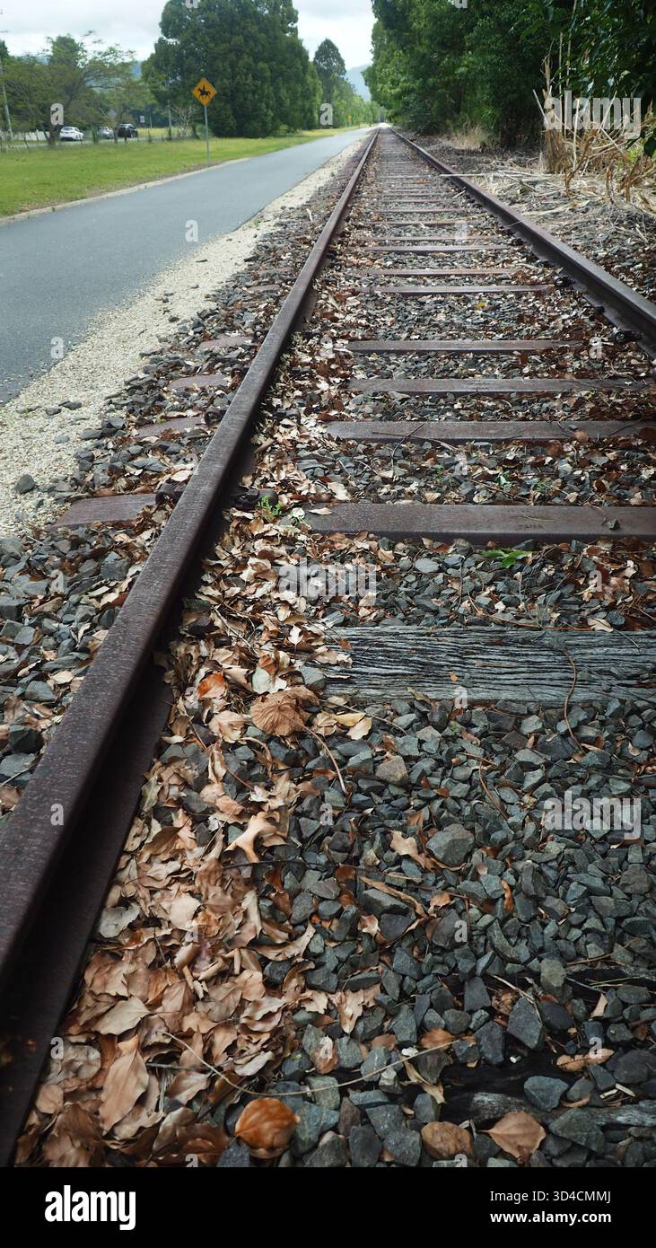 Der Northern Rivers Rail Trail in NSW zeigt die ursprüngliche Bahnstrecke neben dem versiegelten Radweg Stockfoto