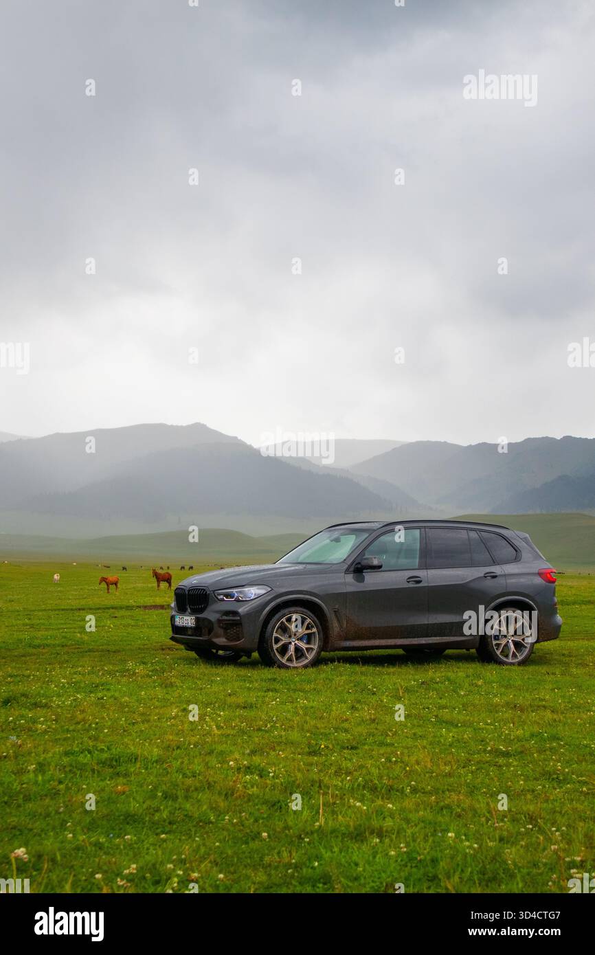 Naryn, Kirgisistan - 13. Mai 2024: Vorderansicht eines dunklen BMW X5 G05 SUV, der auf einer grünen Wiese mit Vieh und nebeligem Berg geparkt ist Stockfoto