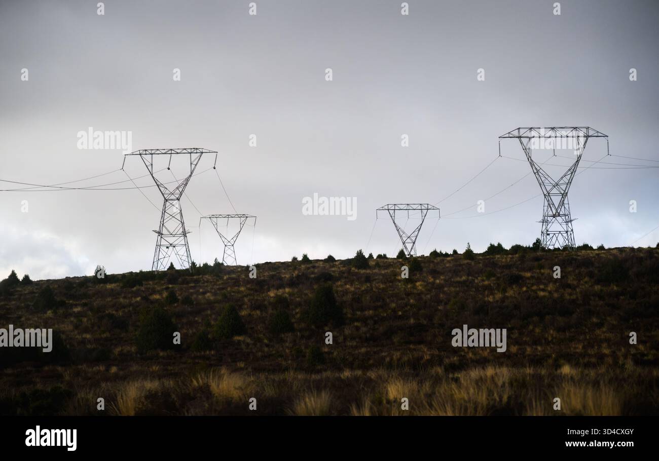 Strommasten und Stromleitungen entlang der Desert Road unter stürmischem Himmel. Tongariro Nationalpark. Neuseeland. Stockfoto