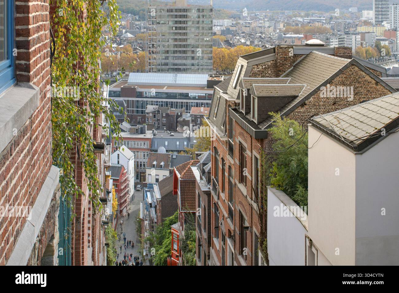 Lüttich Belgien Stadtblick aus einem hohen Winkel. ViewPoint-Besucher Stockfoto