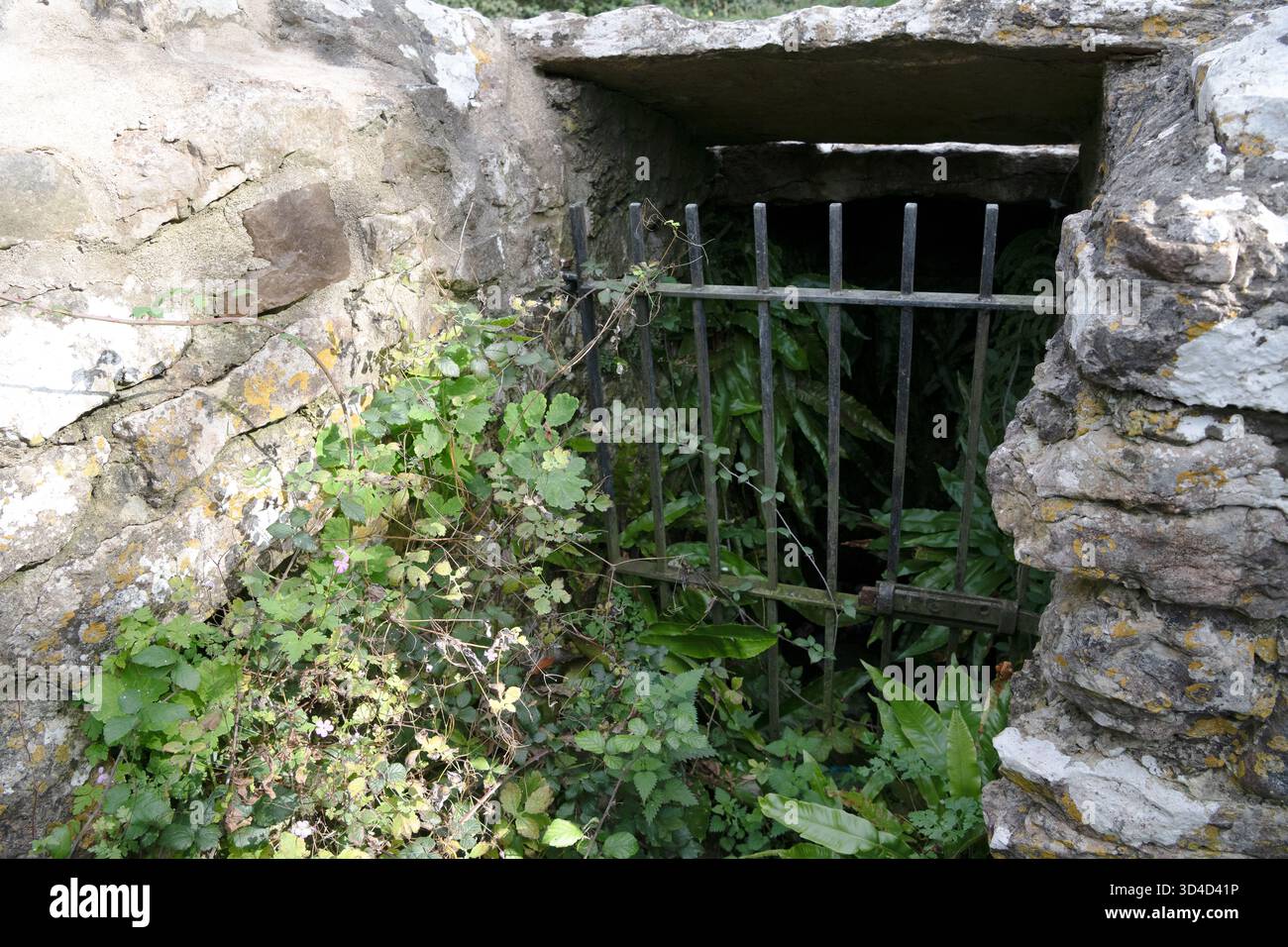 Das eiserne Tor und das bewachsene Innere des St. David's Brunnens. Der Brunnen stammt aus dem frühen Mittelalter und befindet sich in der Nähe von Nottage Porthcawl, Großbritannien Stockfoto