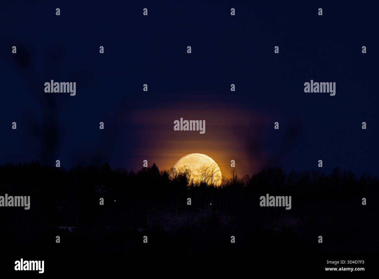 Mond, der in einer dunklen Nacht über Bäumen aufsteigt Stockfoto