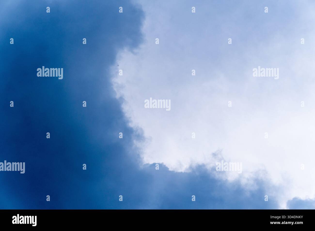 Eine Nahaufnahme der dunklen, schweren Sturmwolken am Himmel. Die stimmungsvollen, dramatischen blauen und weißen Wolken schaffen einen unheilvollen und abstrakten Wetterhintergrund. Stockfoto