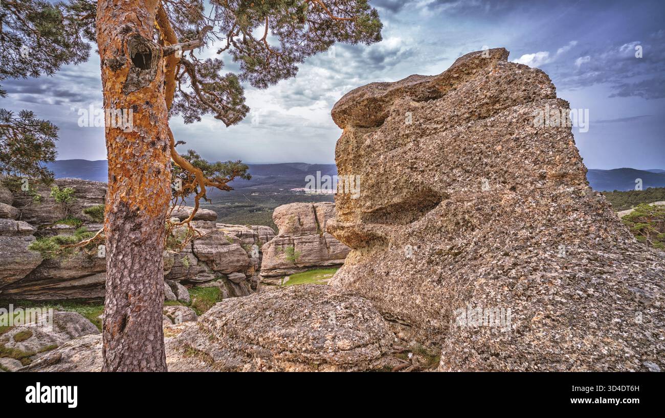 Tormos de Castroviejo Singular Landscape, Sierra de Urbión, Duruelo de la Sierra, Soria, Castilla Y León, Spanien, Europa Stockfoto