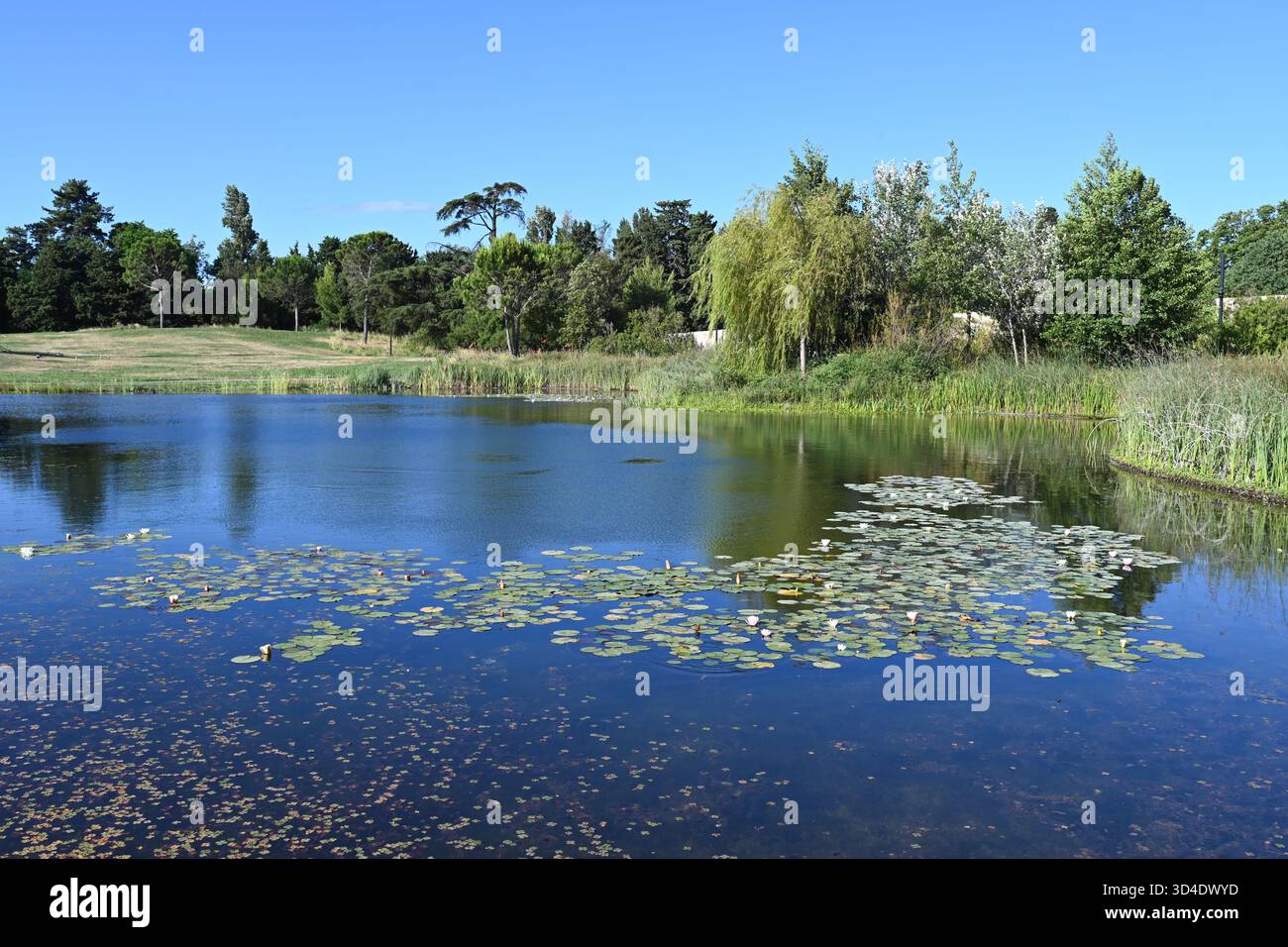 LUMA Park oder Water Garden entworfen von Bas Smets Arles France Stockfoto