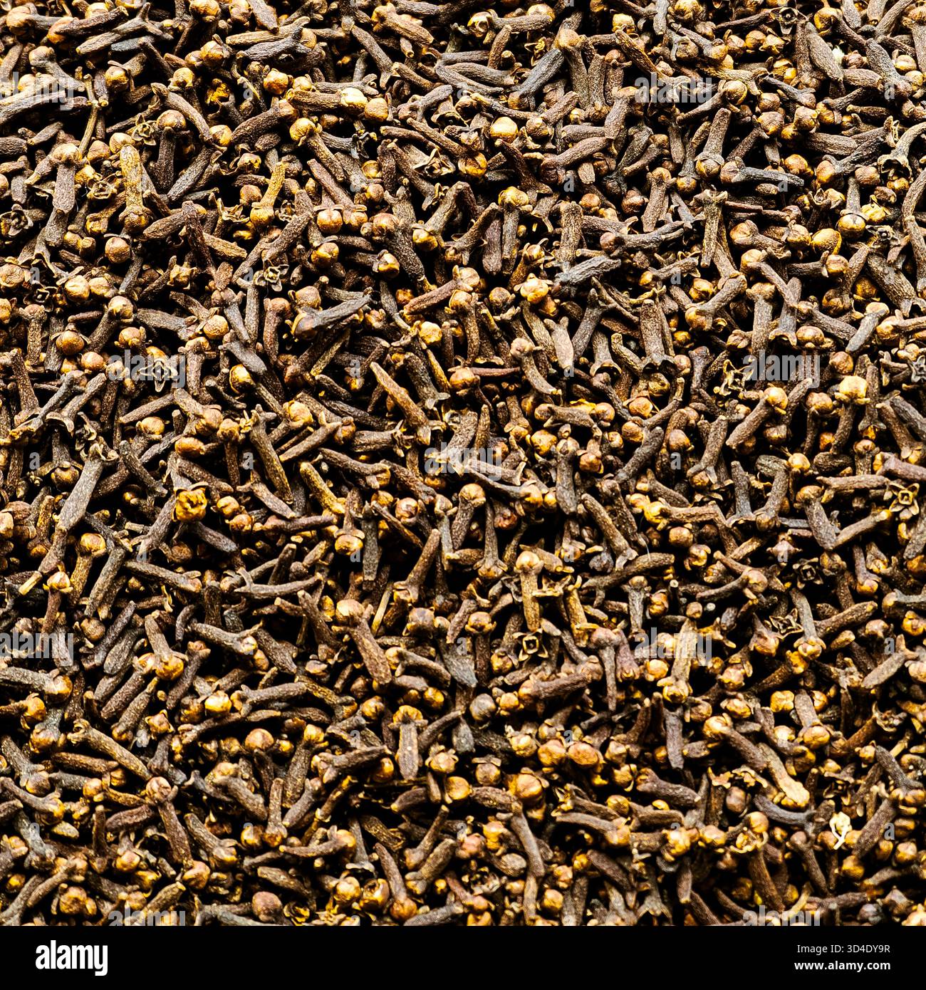 Istanbul, Türkiye - 8. November 2025: Vollbild-Nahaufnahme eines großen Stapels getrockneter Nelken (Syzygium aromaticum) Blütenknospen, ausgestellt zum Verkauf im Stockfoto