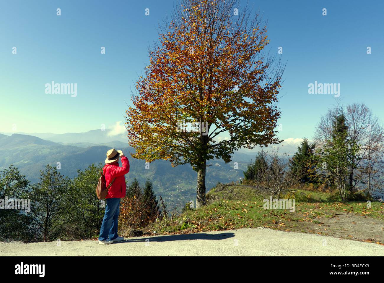 Reisende bewundern die Herbstberge unter Blue SK Ein Wanderer, von hinten gesehen, steht auf einem Bergüberblick mit Blick auf das weitläufige vall Stockfoto