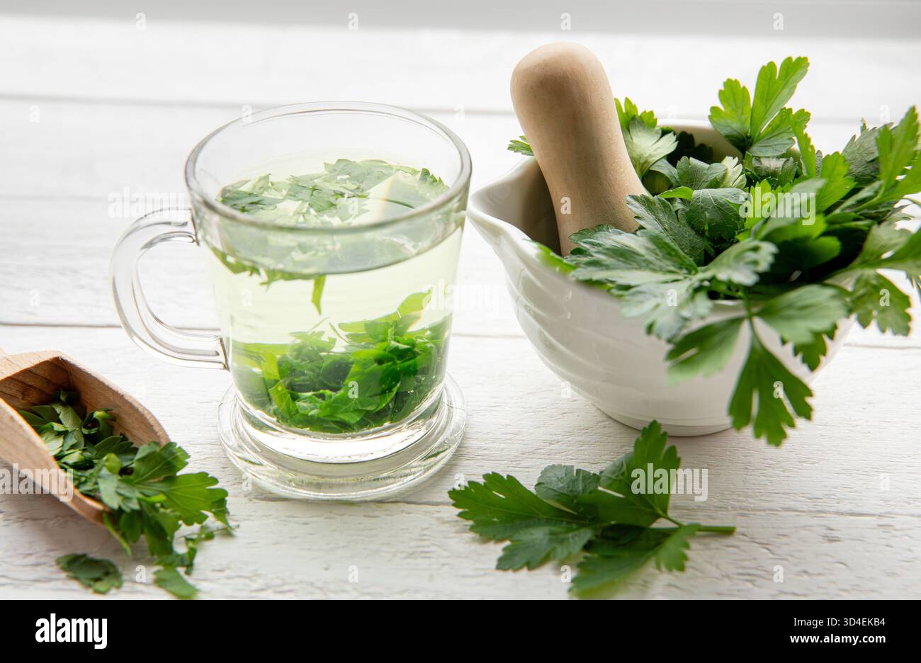 Hausgemachter Kräuter-Heiltee aus Petersilie Petroselinum crispum. Grüne Blätter in der Teetasse auf weißem Holzhintergrund mit frischen Blättern. Stockfoto