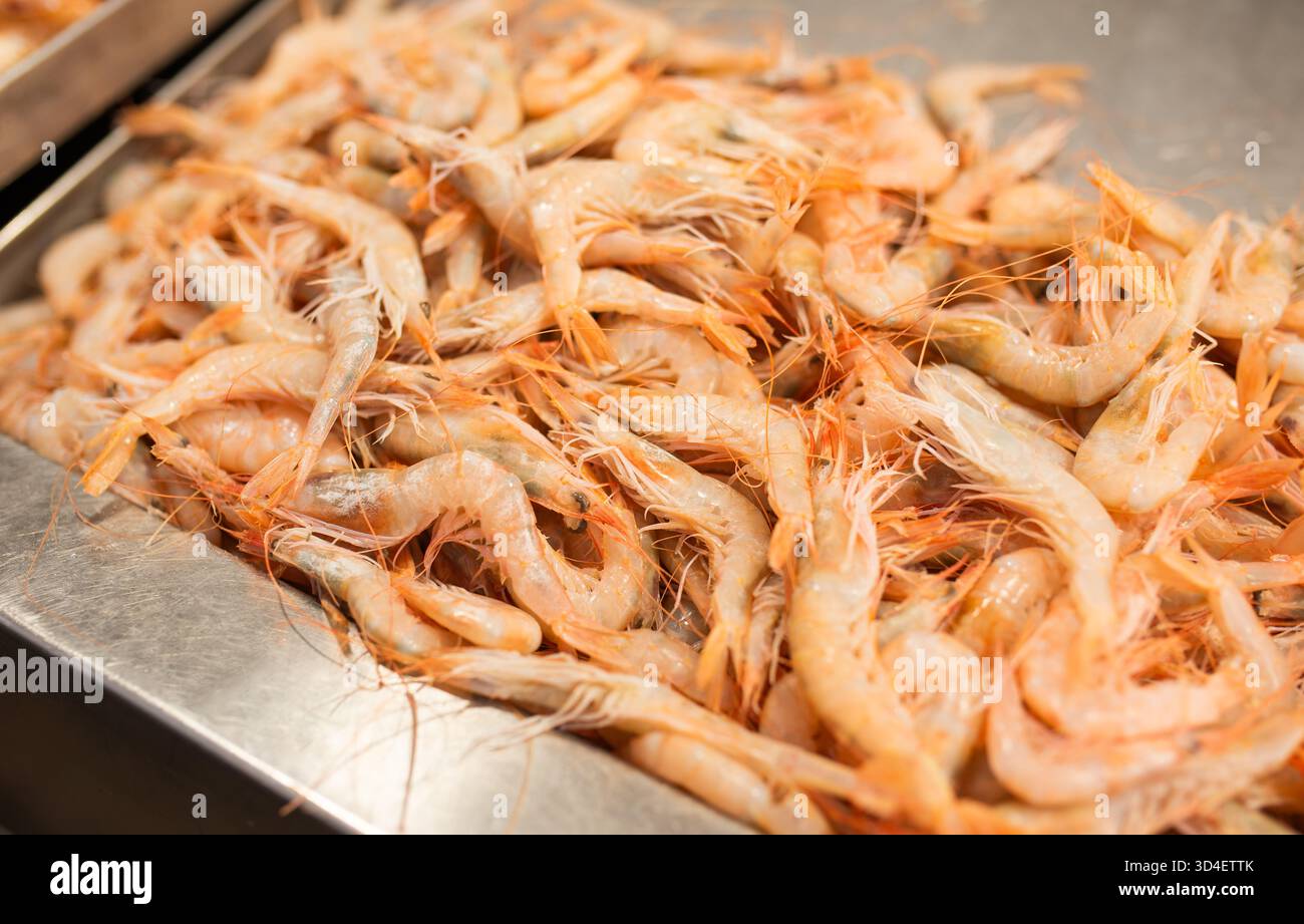 Frische Garnelen stapeln sich auf einer Edelstahloberfläche und sind bereit für die kulinarische Zubereitung Stockfoto