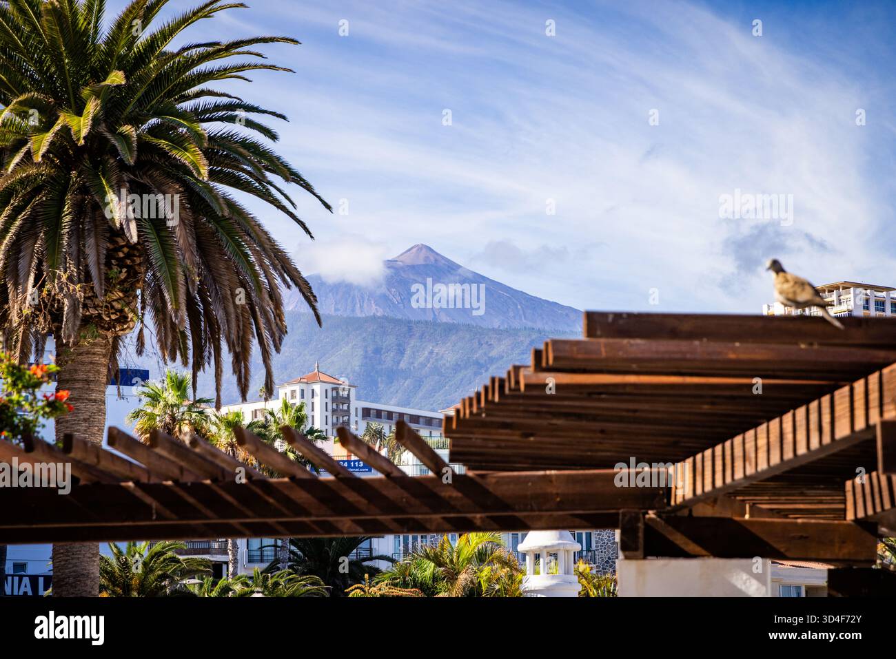Puerto De La Cruz, Teneriffa, Kanarische Inseln, Spanien Stockfoto