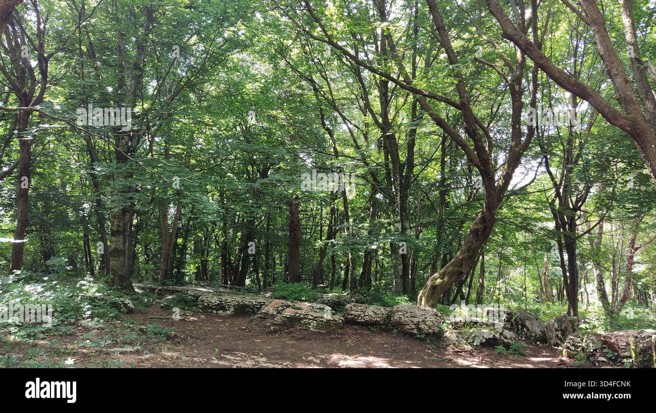 Bosco Chiesanuova Stadt in Verona, Italien Stockfoto