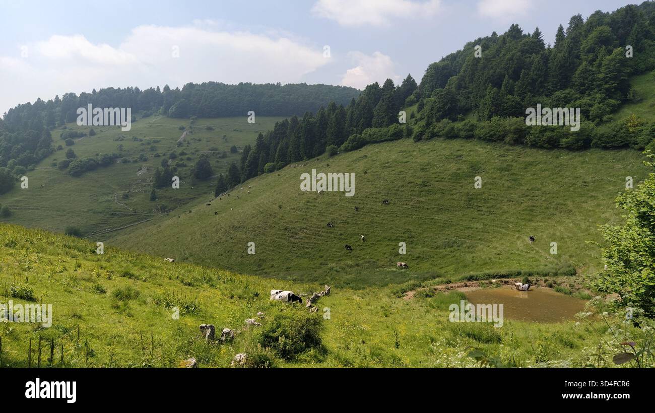 Bosco Chiesanuova Stadt in Verona, Italien Stockfoto