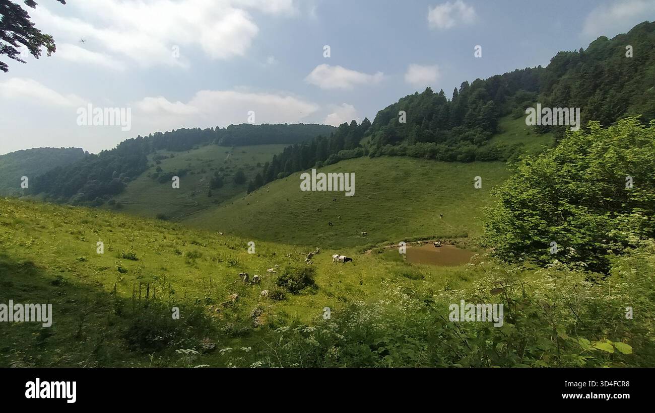 Bosco Chiesanuova Stadt in Verona, Italien Stockfoto