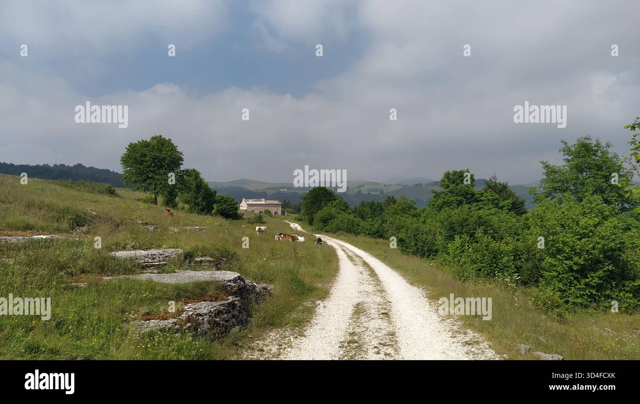 Bosco Chiesanuova Stadt in Verona, Italien Stockfoto