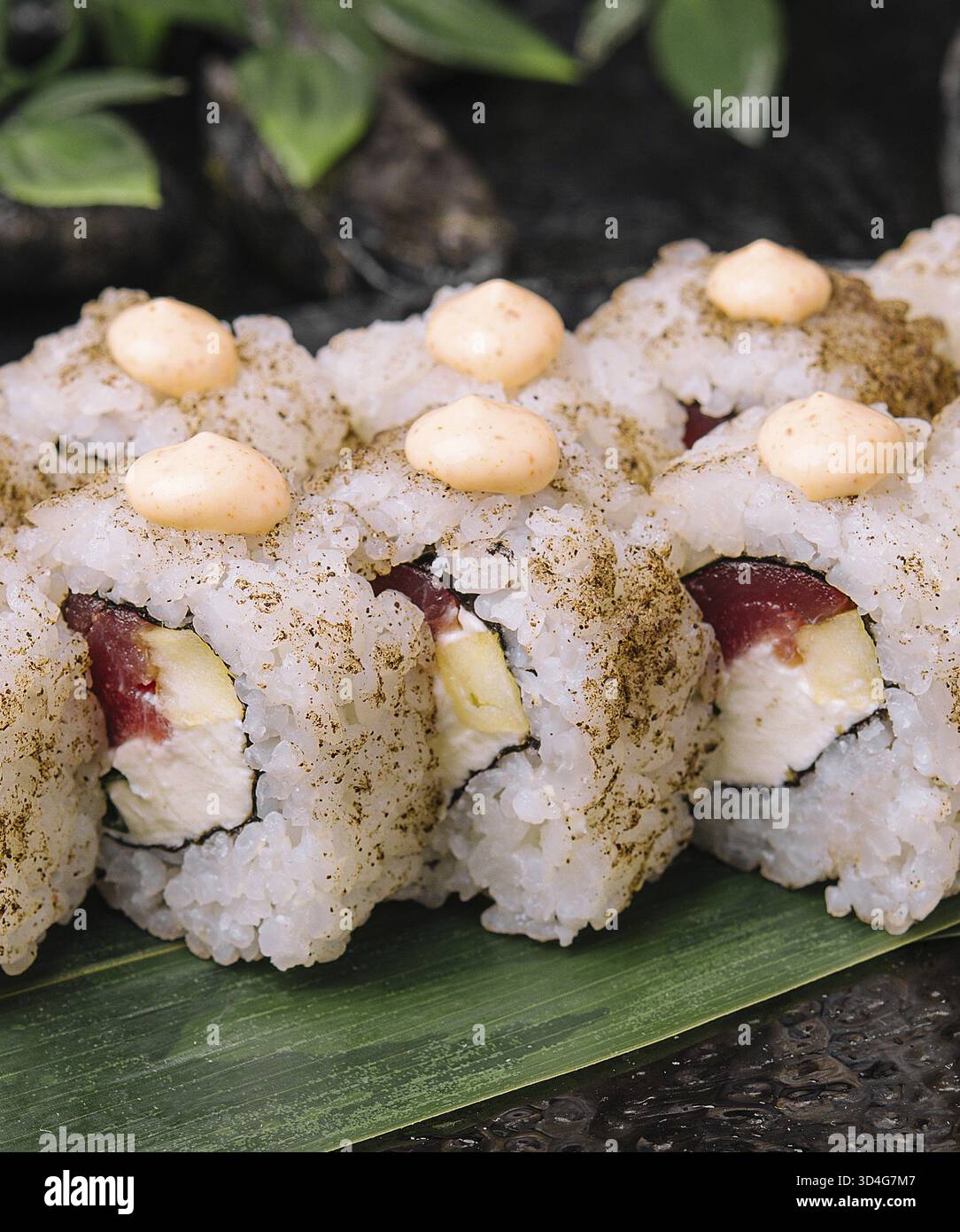 Essen, Sushi-Brötchen scharf mit Reis, Thunfisch und scharfer Sriracha-Sauce Stockfoto