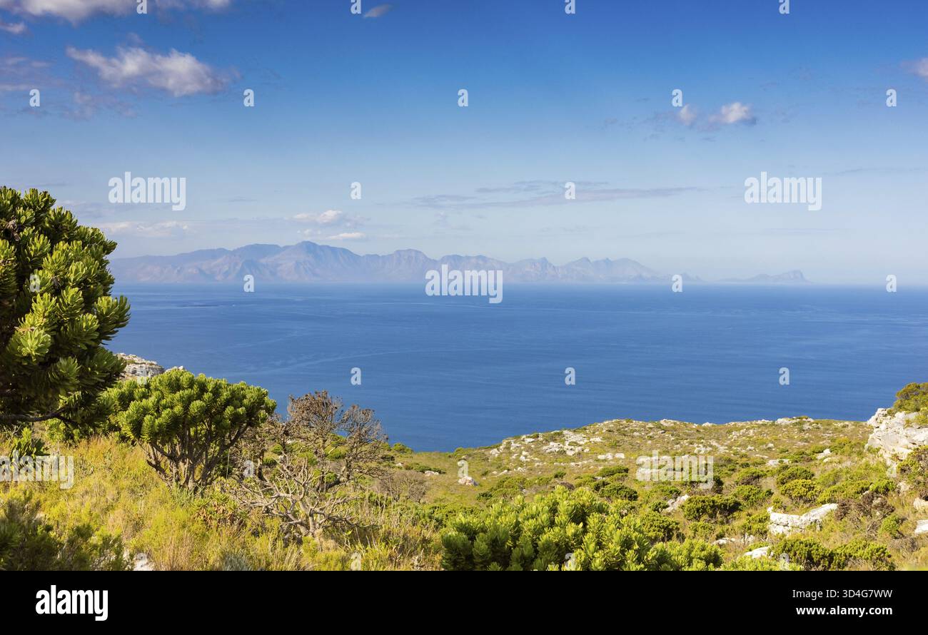 Küstenberglandschaft mit Fynbos Flora in Kapstadt Südafrika, Kapstadt, Südafrika Stockfoto