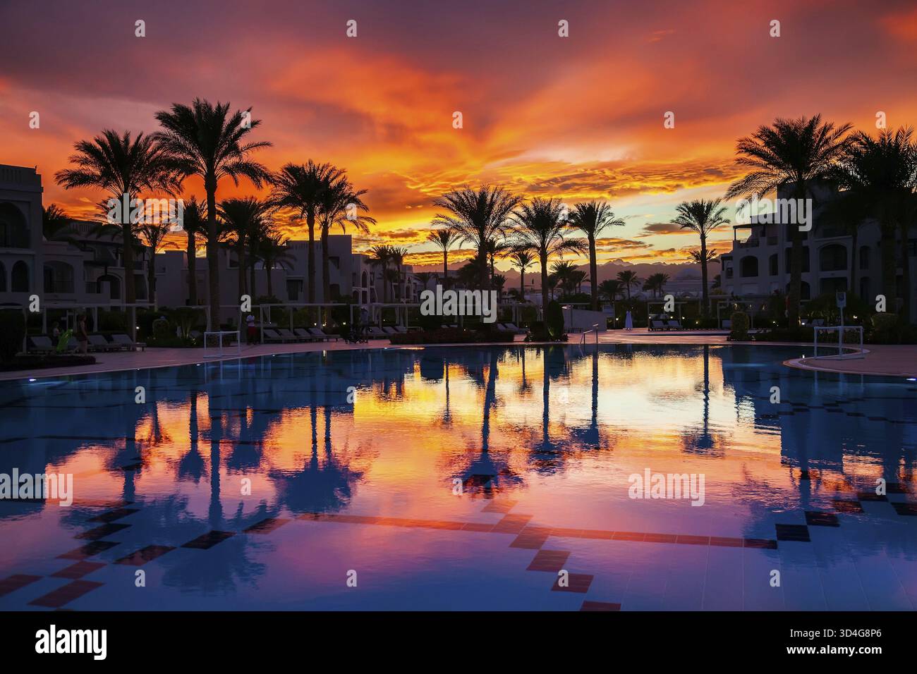 Wunderschöner Sonnenuntergang mit Palmen Silhouetten und Reflexion in einem Swimmingpool im ägyptischen Hotel Stockfoto