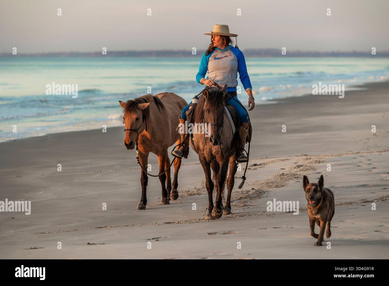 Reiten auf Marsh Tacky Horses auf Daufuskie Island. Stockfoto