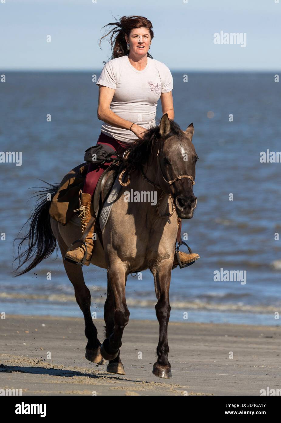 Reiten auf Marsh Tacky Horses auf Daufuskie Island. Stockfoto