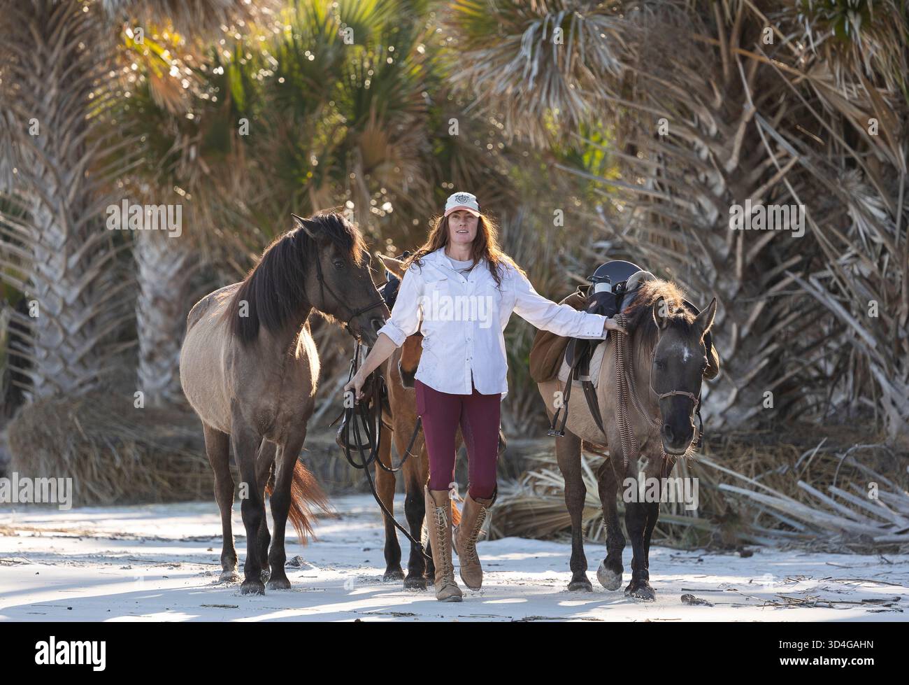Reiten auf Marsh Tacky Horses auf Daufuskie Island. Stockfoto