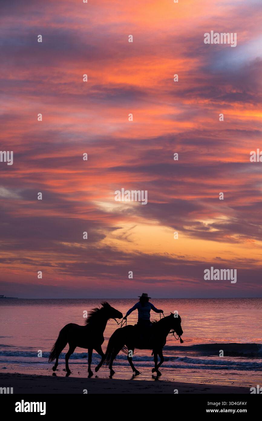 Reiten auf Marsh Tacky Horses auf Daufuskie Island. Stockfoto