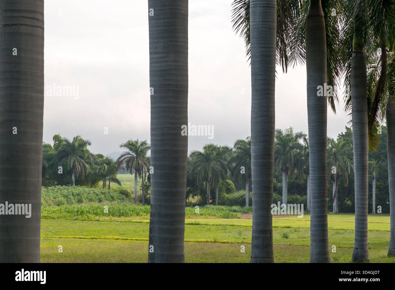 Ex Hacienda de San Gabriel: Ein Hotel in der Nähe von Amacuzac, Morelos Mexiko Stockfoto