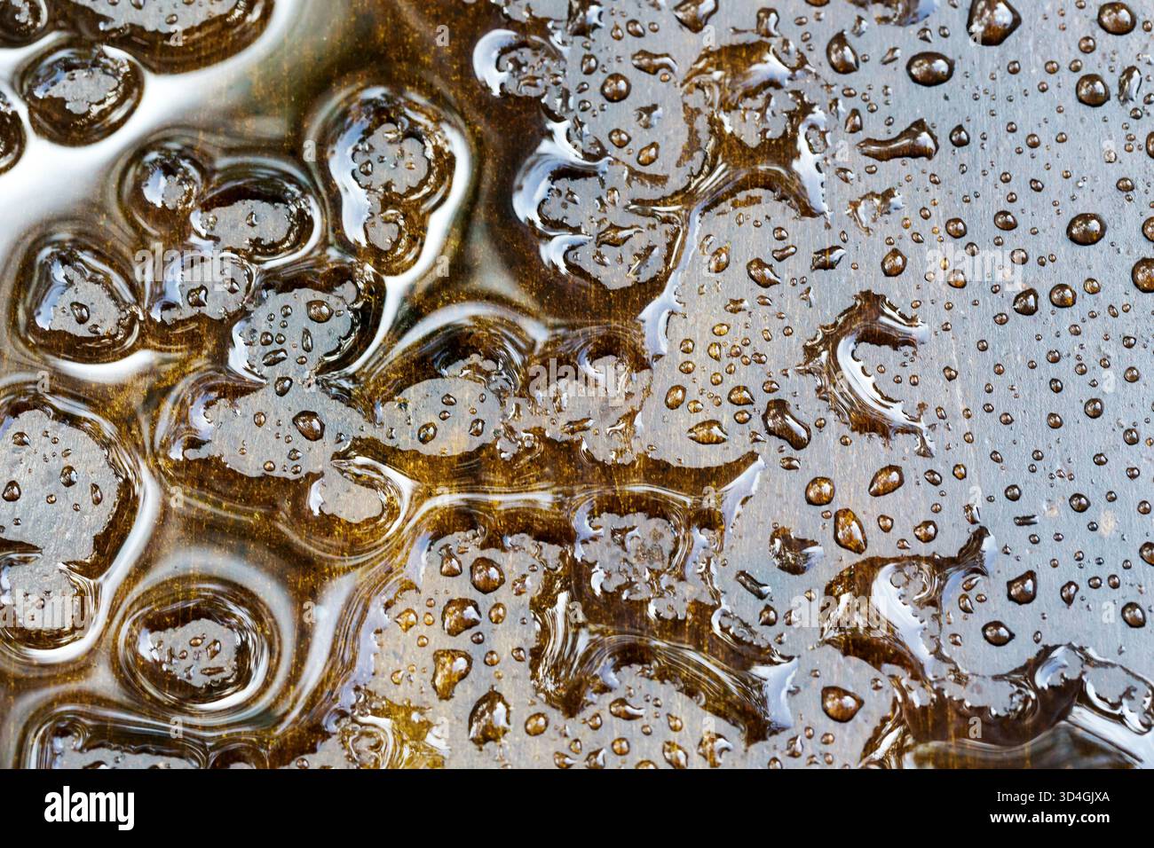 Ex Hacienda de San Gabriel: Ein Hotel in der Nähe von Amacuzac, Morelos Mexiko Stockfoto