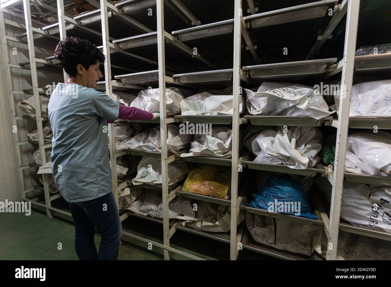 Die forensische Anthropologin Dragana Vucetic von der Internationalen Kommission für Vermisste (ICMP) versucht, die Überreste eines Opfers des Bosnienkrieges 1992–95 in Tuzla, Bosnien und Herzegowina zu identifizieren. Stockfoto