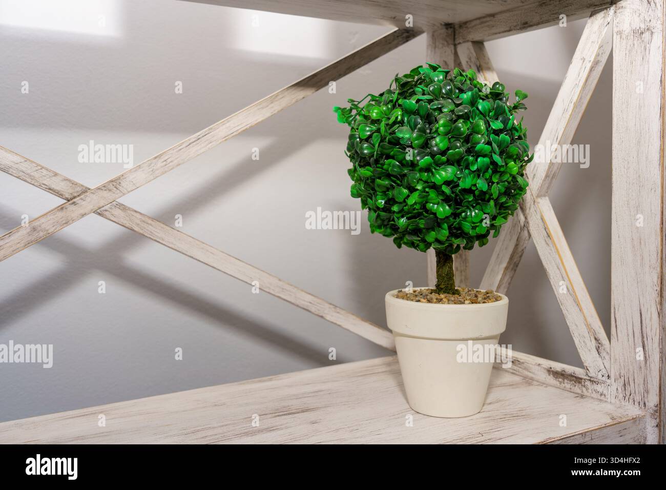 Eine kleine grüne dekorative Pflanze sitzt in einem weißen Topf auf einem Holzregal vor einer hellen Wand und verleiht dem Raum Frische. Stockfoto