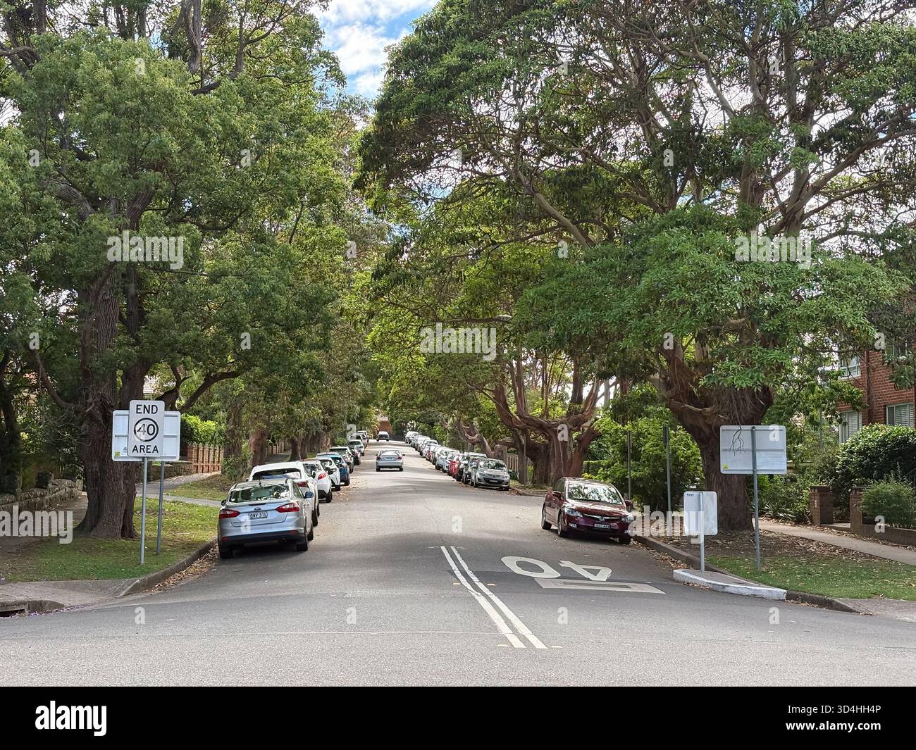 Eine ruhige, von Bäumen gesäumte Straße in einem Vorort von Sydney, New South Wales, Australien, mit geparkten Autos und Wohngebäuden. Vermittelt ein friedliches urbanes li Stockfoto