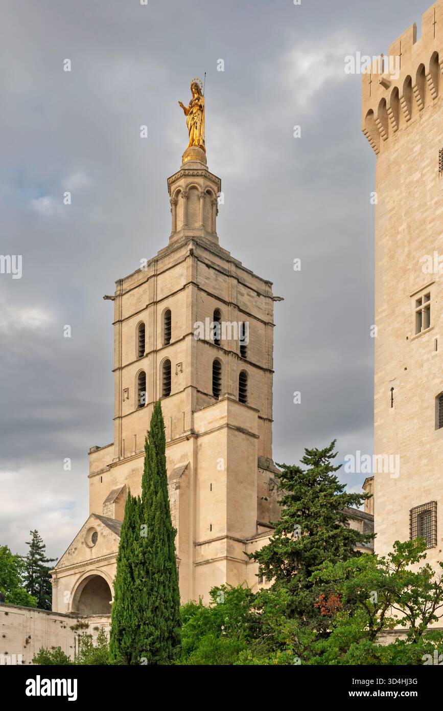 Papstplatz in Avignon, Luberon, Provence, Frankreich, Europa. Stockfoto