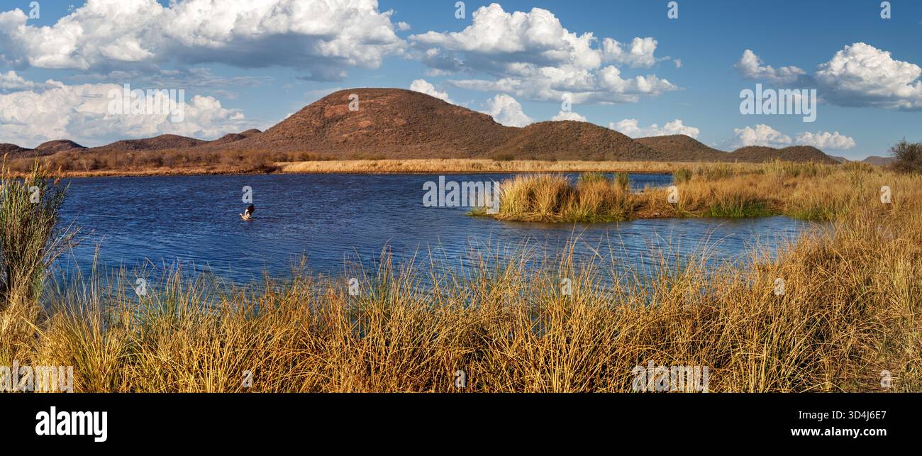 see, Damm im Mokolodi Nature Reserve, ägyptische Gänselandung auf dem Wasser, afrikanisches Naturreservat, Bergkette, in der Nähe von Gaborone, Botswana Stockfoto