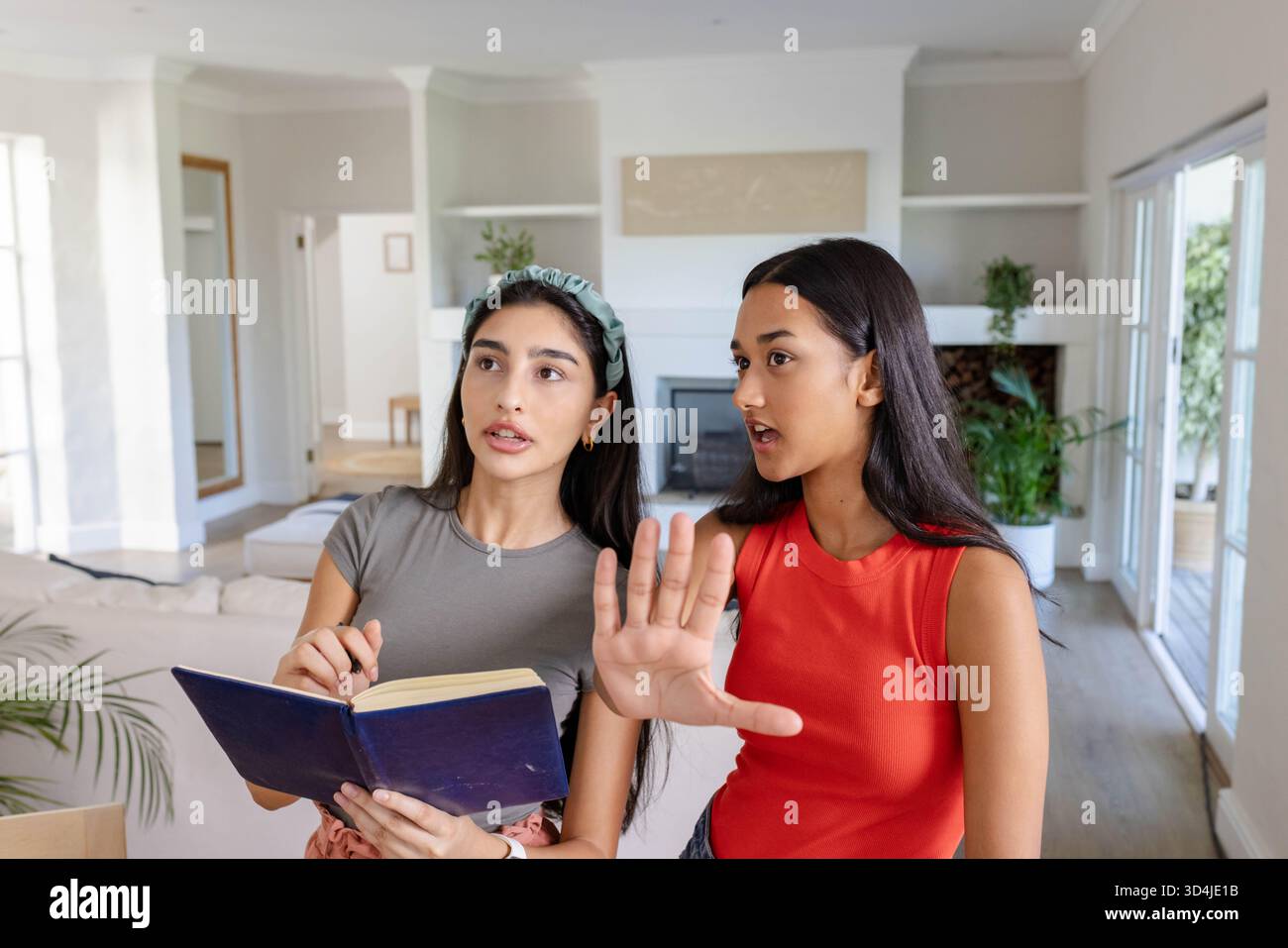 Verschiedene Freundinnen arbeiten an Projektplan im Wohnzimmer am Kamin zusammen, halten Notizbuch Stockfoto