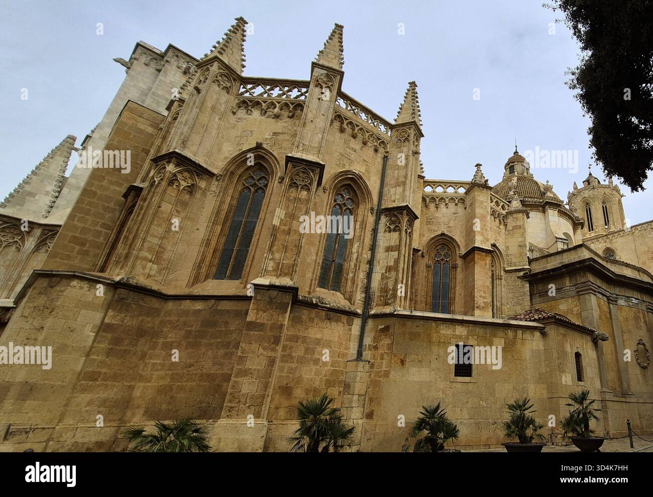 Seitenansicht der römischen Kathedrale von Santa Tecla in Tarragona im gotischen Stil - Smartphone-aufgenommenes Stockfoto