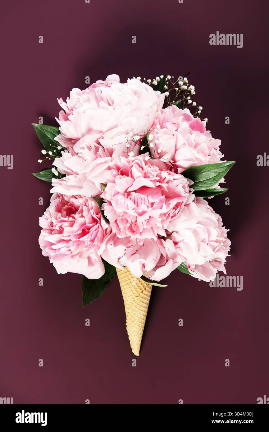 Künstlerisches Arrangement aus rosa Pfingstrosen und Grün in einem Waffelkegel vor einem üppigen burgunderroten Hintergrund. Stockfoto