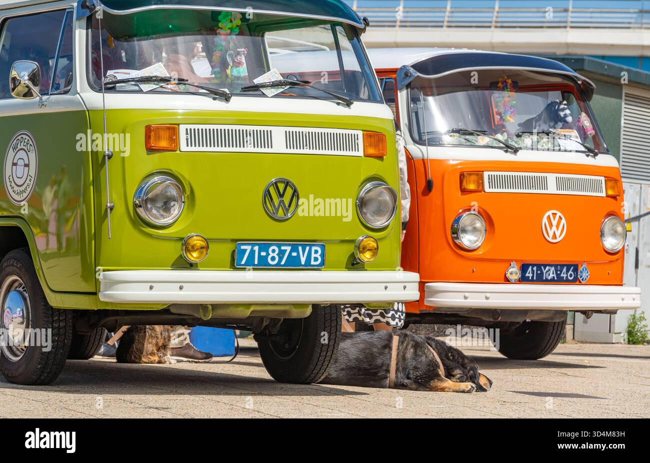 Scheveningen, Niederlande, 25.05.2025, bunte Vintage-Wohnmobile von Volkswagen nebeneinander auf der Aircooler Oldtimer-Ausstellung Stockfoto