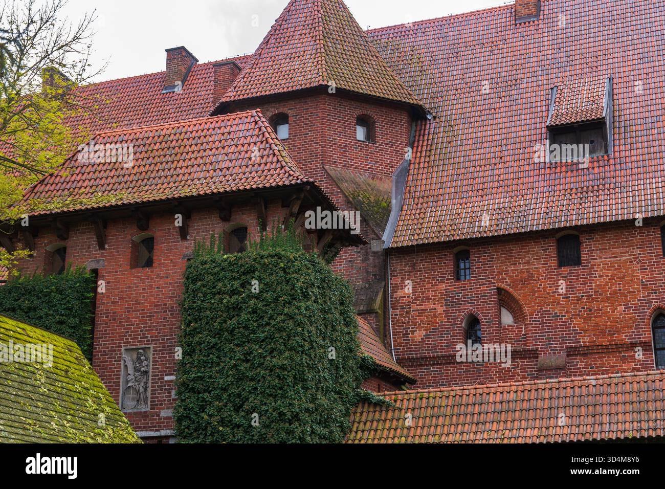 Aus nächster Nähe sehen Sie rote Backsteinmauern der Burg Malbork, Ziegeldächer, Bogenfenster, Efeu und Moos in Nordpolen. Weiches, bedecktes Licht offenbart mittelalterliches f Stockfoto