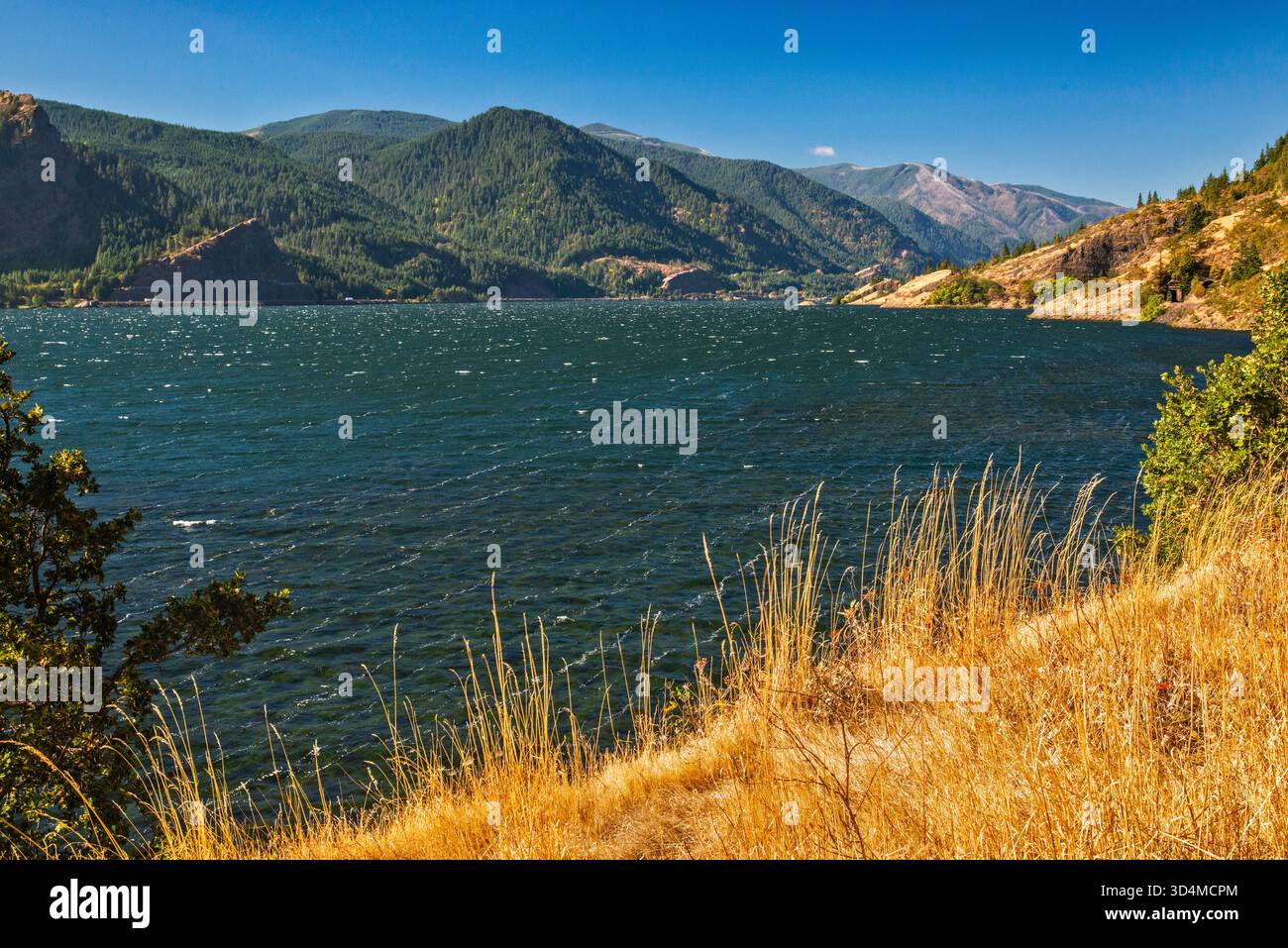Cascade Range Peaks in Oregon, Mt Defiance in dist, Columbia River Gorge, Blick vom Lewis and Clark Trail, in der Nähe der Stadt Carson, Washington, USA Stockfoto