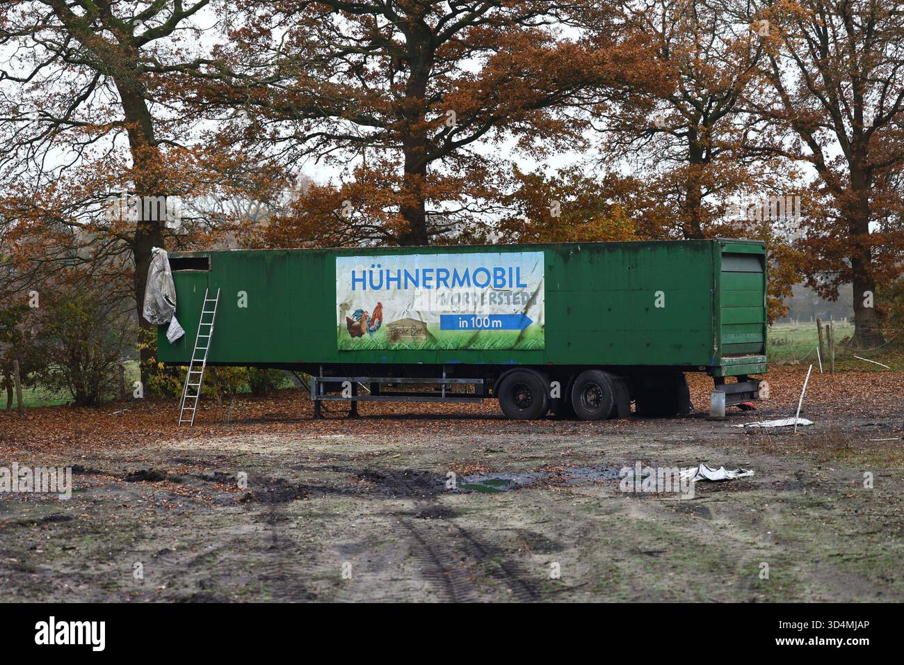 Stockbilder 11/2025 Mobiler Hühnerstall ohne Hühner Henstedt-Ulzburg Schleswig-Holstein Deutschland *** Stockfotos 11 2025 mobiler Hühnerstall ohne Hühner Henstedt Ulzburg Schleswig Holstein Deutschland Copyright: XLobeca/RalfxHomburgx Stockfoto