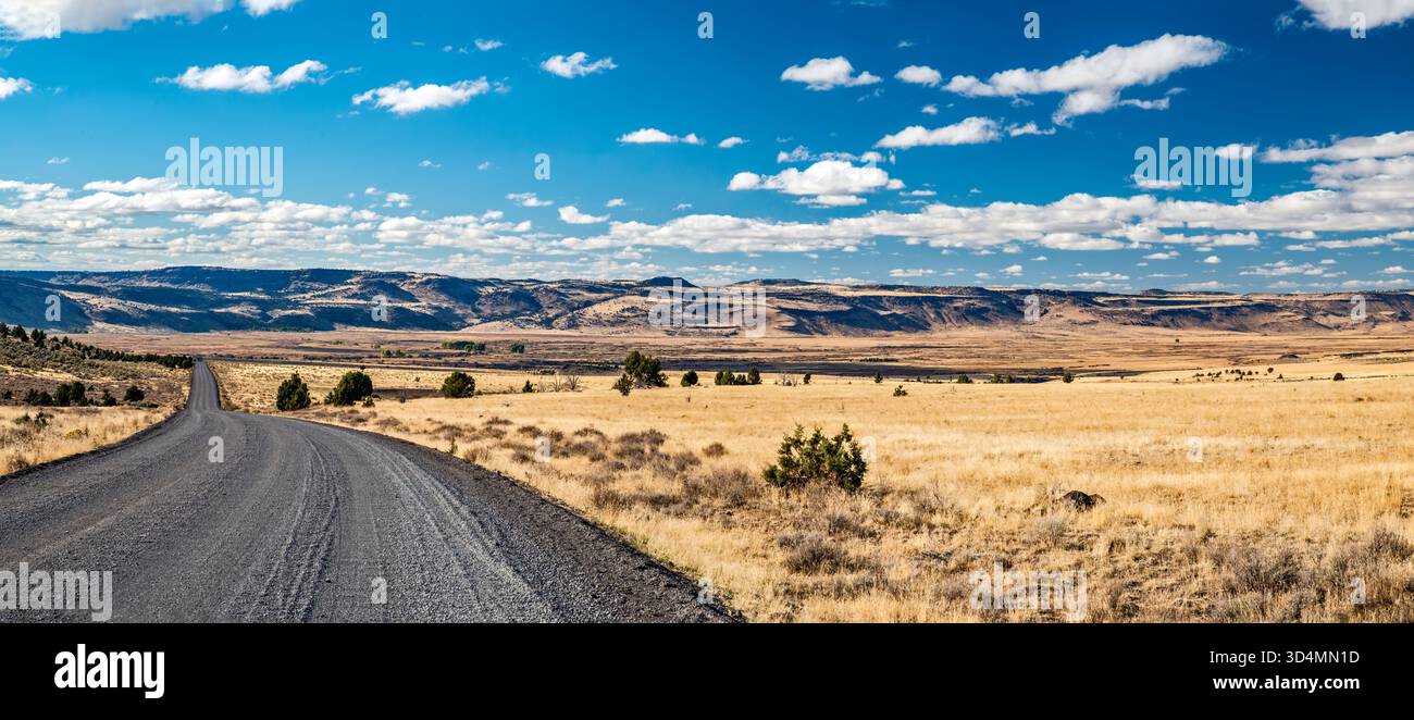 Jackass Mountain massif over Malheur Wildlife Refuge in distance, view from Steens Mountain Loop, High Desert region, Oregon, USA Stockfoto