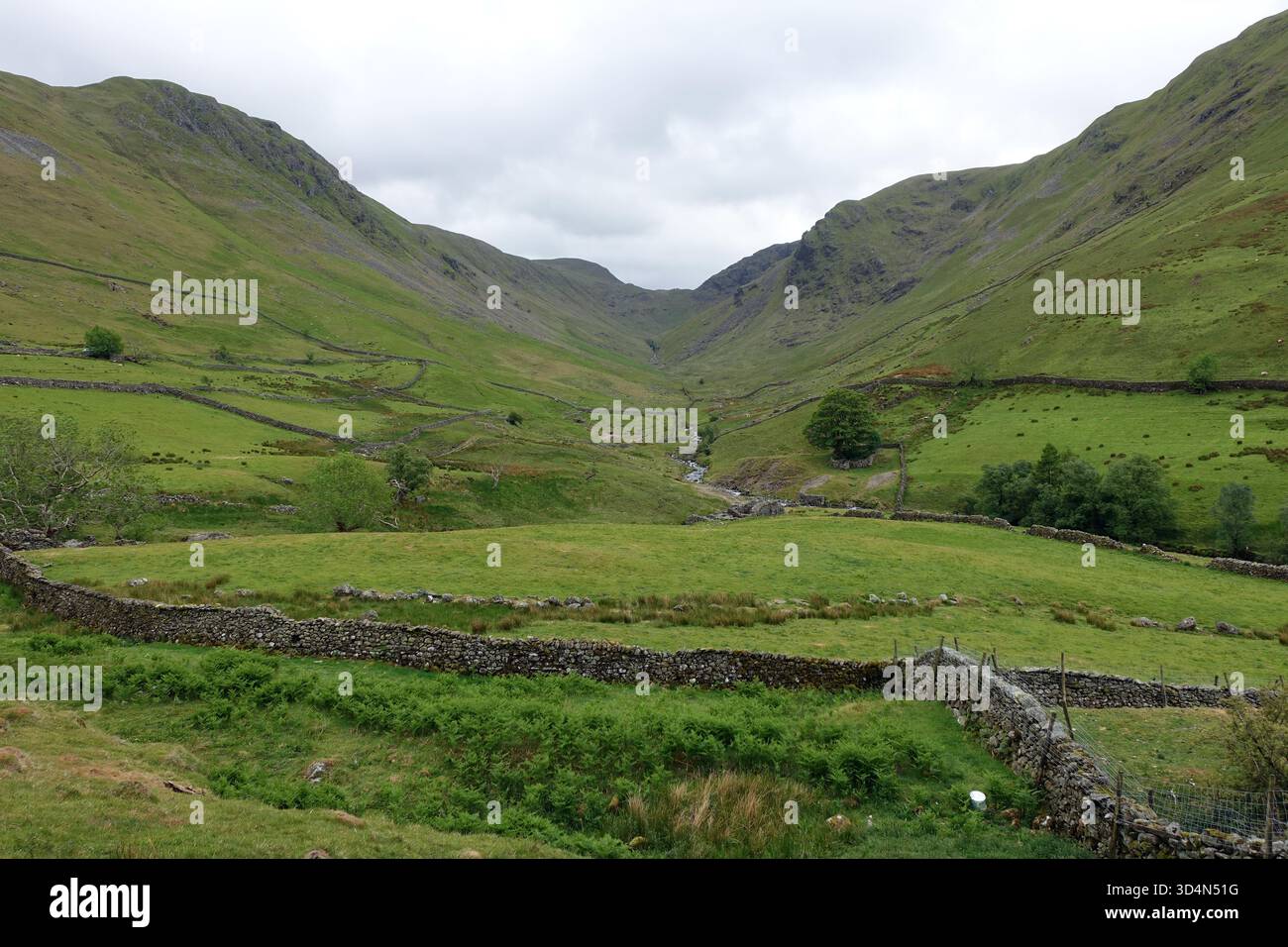 Das Wainwright „Gray Crag“ und das Weideland Bottom Valley in der Nähe des Hamlet of Hartsop im Lake District National Park, Cumbria, England, Großbritannien. Stockfoto