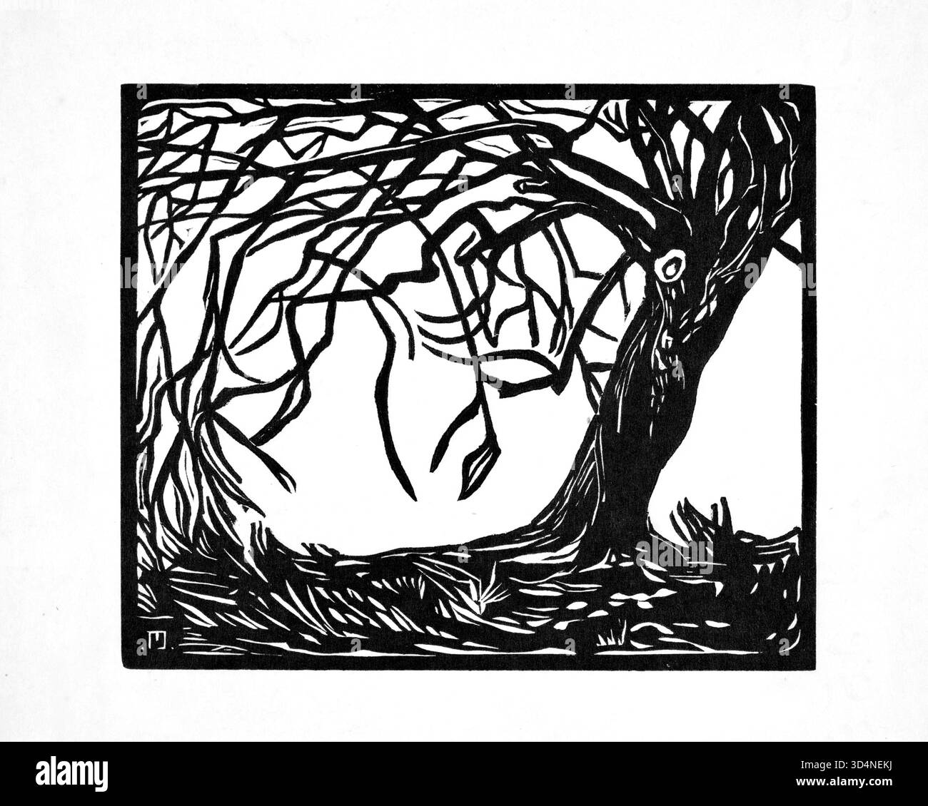 Jeanne Malivel - der alte Baum - das Kunstwerk im Bild ist ein Holzschnitt mit dem Titel Le vieil arbre (der alte Baum) der französischen Künstlerin Jeanne Malivel. Das Werk stammt aus der Zeit, als sie Teil der bretonischen Kunstbewegung Seiz Breur war, die sie 1923 mitbegründete. Stockfoto