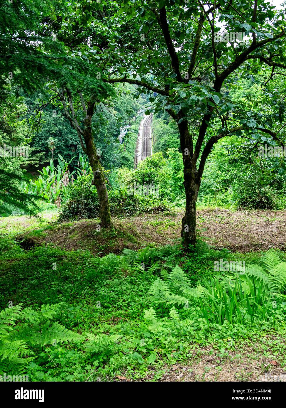 Blick auf die Eisenbahn vom Batumi Botanical Garden, Georgia an bewölktem Sommertag Stockfoto