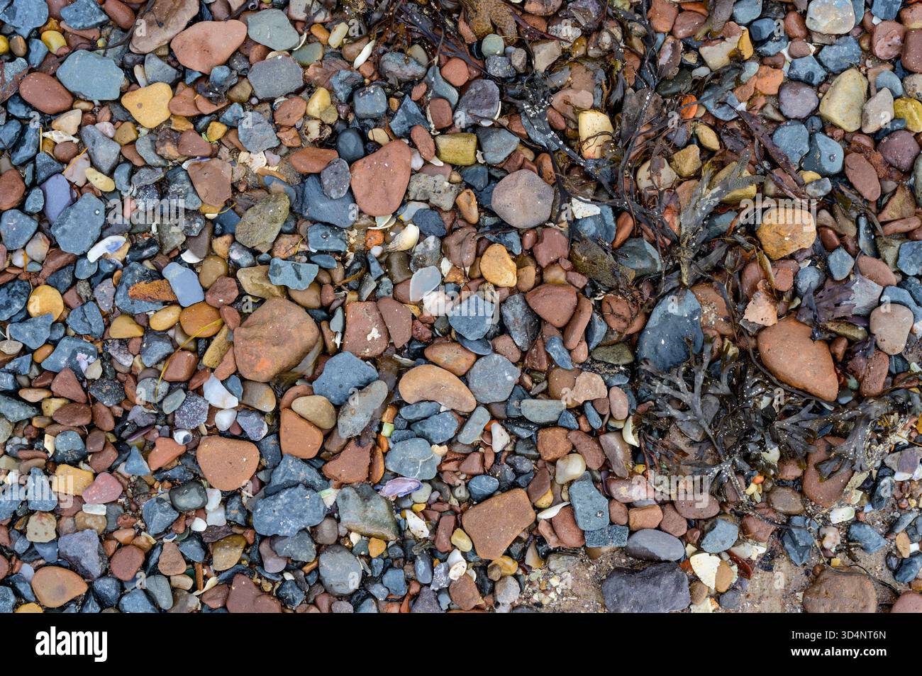 Blick auf Kieselsteine am Strand, Großbritannien Stockfoto