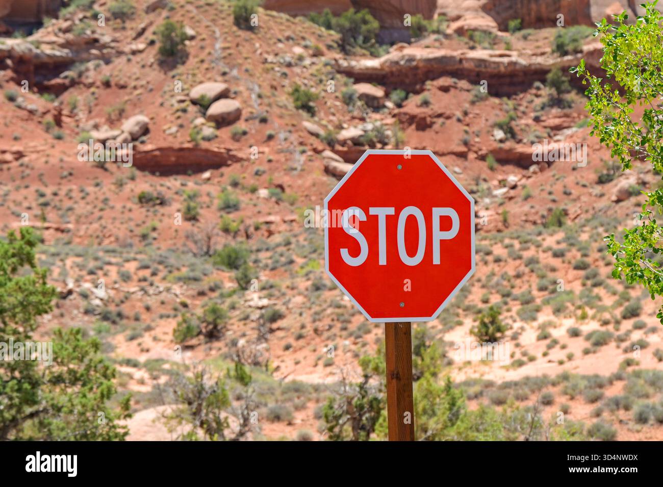 Stoppschild an einer Straßenkreuzung in den USA. Keine Personen. Stockfoto