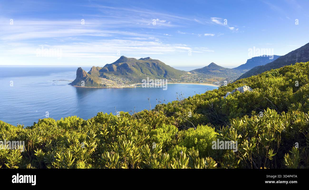 Hout Bay Küstenlandschaft mit Fynbos-Flora in Kapstadt, Südafrika Stockfoto