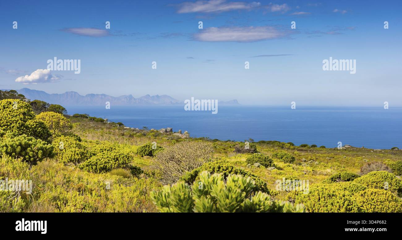 Küstenberglandschaft mit Fynbos Flora in Kapstadt Südafrika, Kapstadt, Südafrika Stockfoto