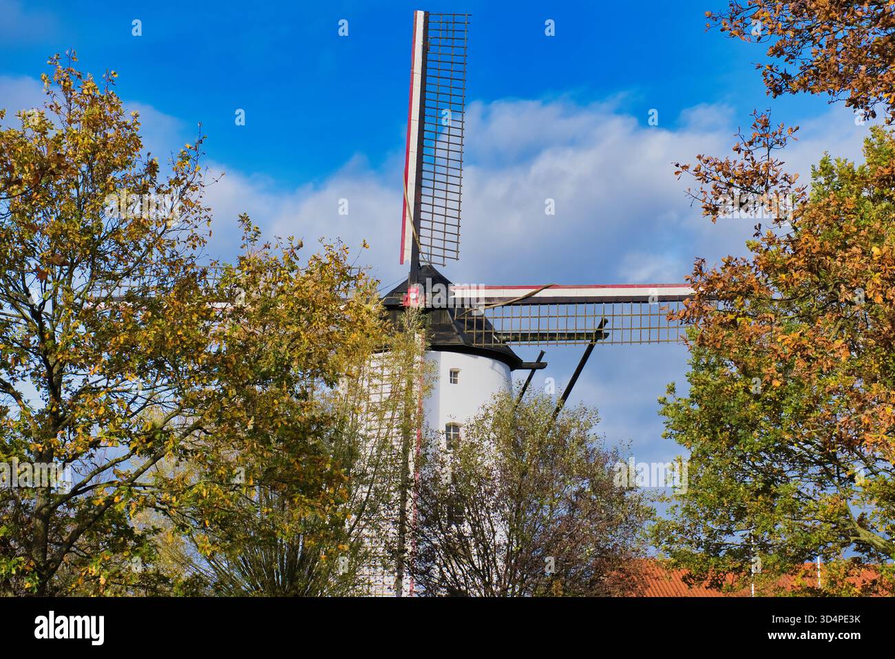 Traditionelle weiße Windmühle umgeben von bunten Herbstbäumen und goldenem Laub in landschaftlich reizvoller Landschaft unter bewölktem Himmel Stockfoto